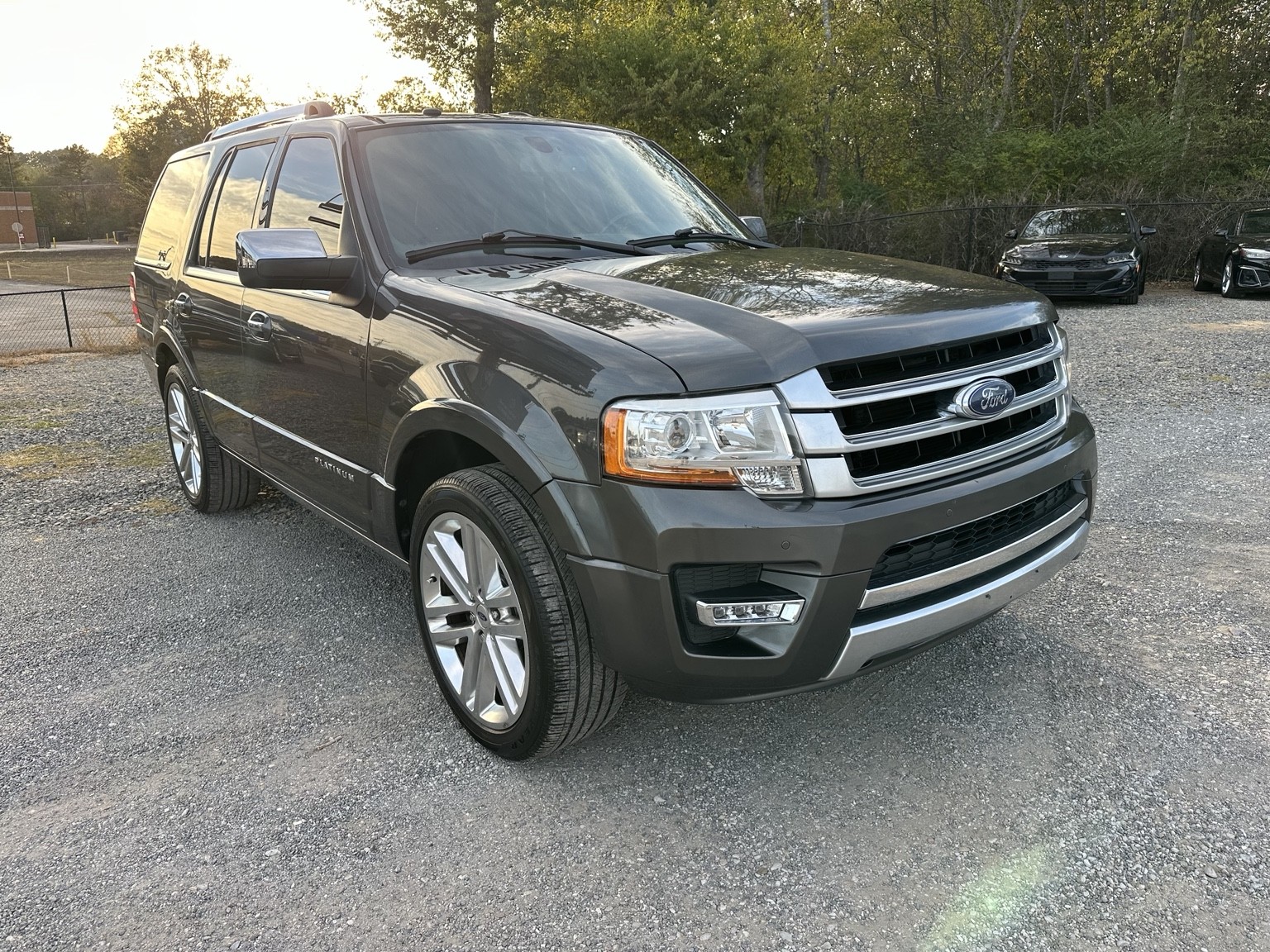 Brown 2017 Ford Expedition Platinum rear exterior view