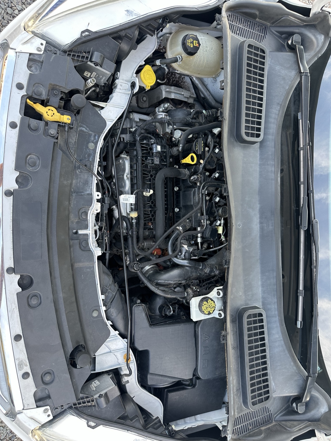 White 2019 Ford Escape SEL wheel and tire